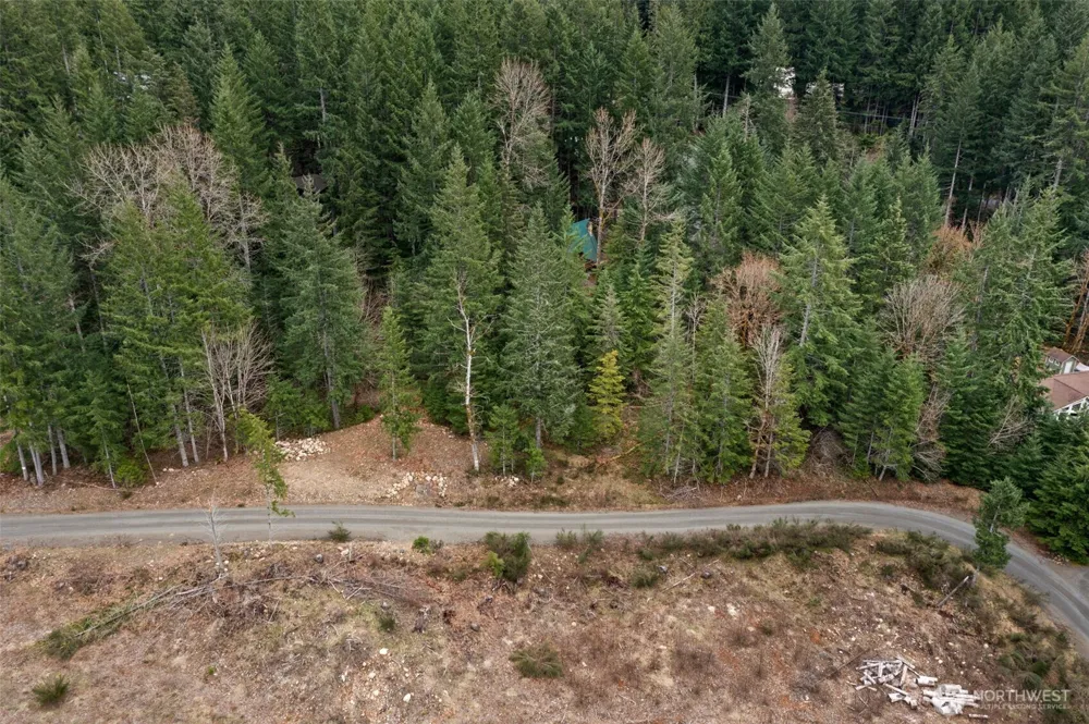 134 Grizzly Road Packwood, WA 98361