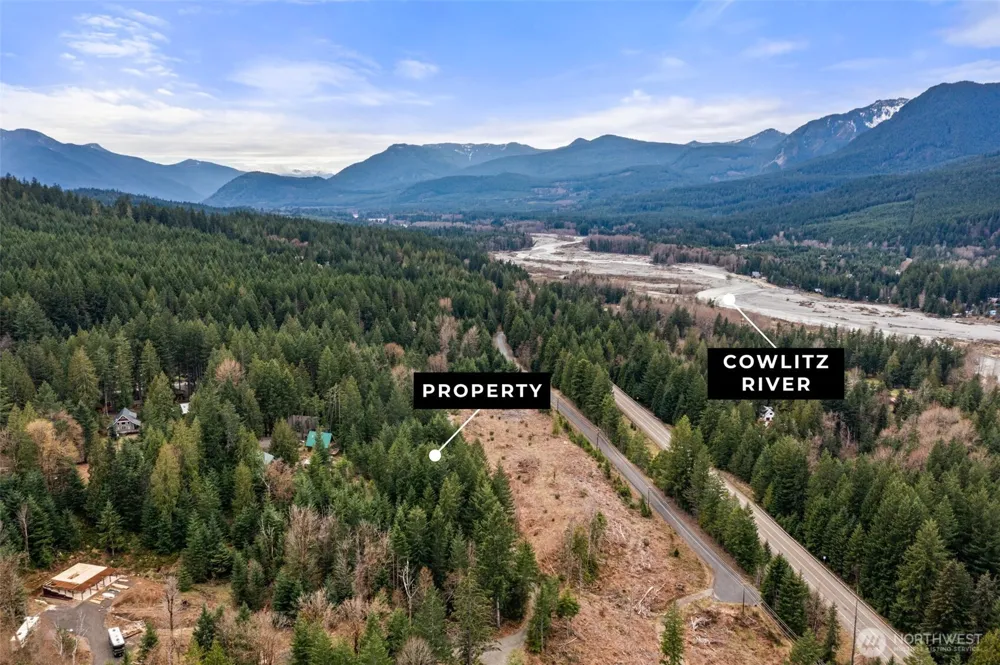 134 Grizzly Road Packwood, WA 98361