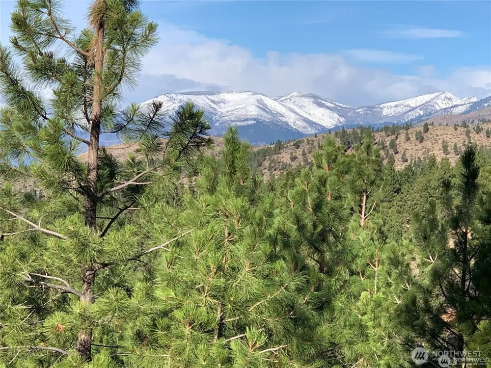 0 NNA Cooper Mountain Road Manson, WA 98831