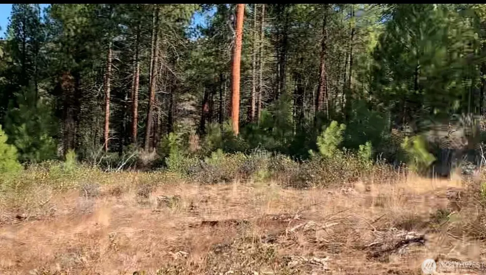 0 NNA Cooper Mountain Road Manson, WA 98831