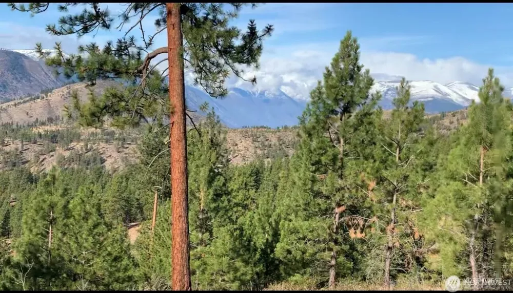 0 NNA Cooper Mountain Road Manson, WA 98831