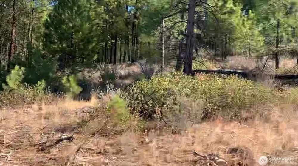 0 NNA Cooper Mountain Road Manson, WA 98831