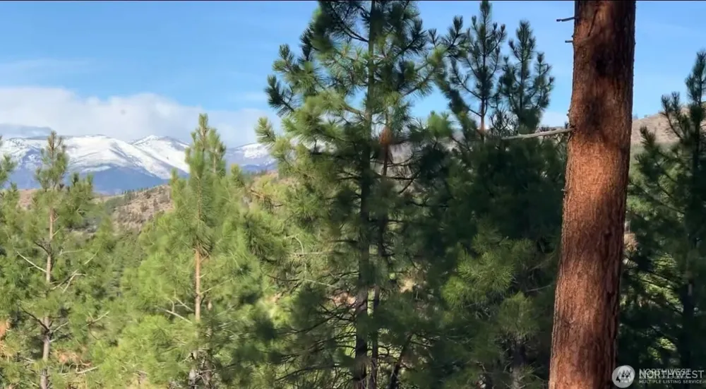 0 NNA Cooper Mountain Road Manson, WA 98831