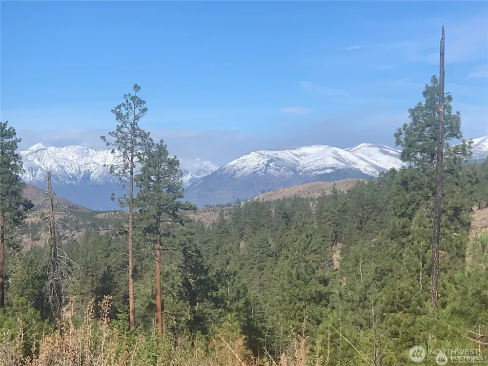0 NNA Cooper Mountain Road Manson, WA 98831