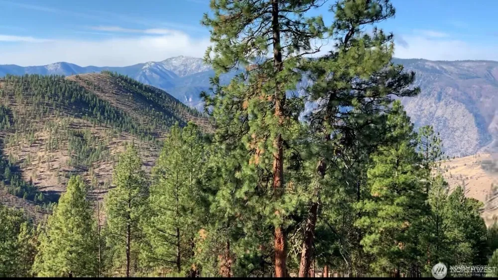 0 NNA Cooper Mountain Road Manson, WA 98831