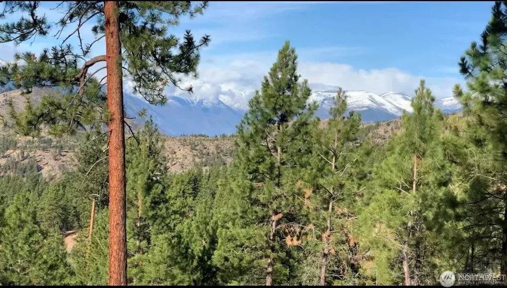 0 NNA Cooper Mountain Road Manson, WA 98831