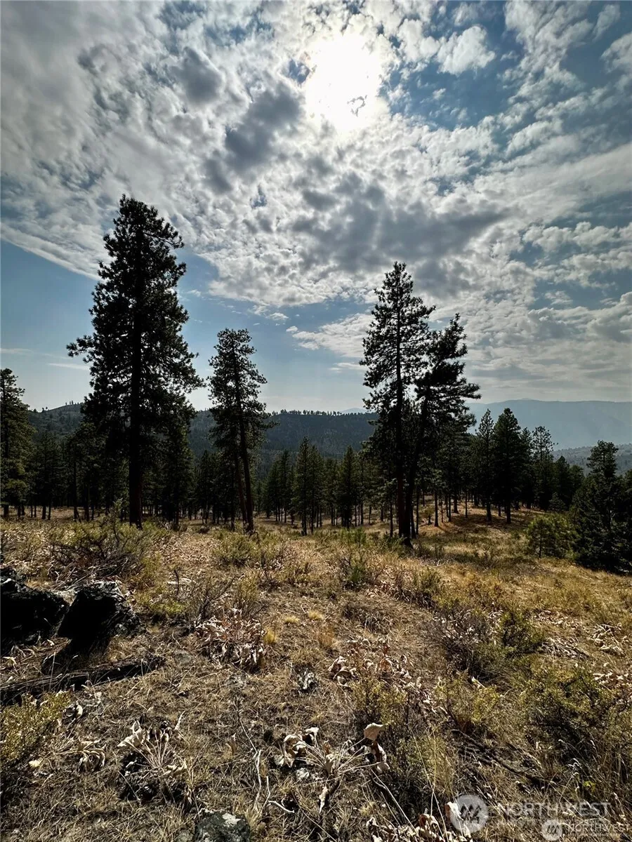 0 NNA Cooper Mountain Road Manson, WA 98831