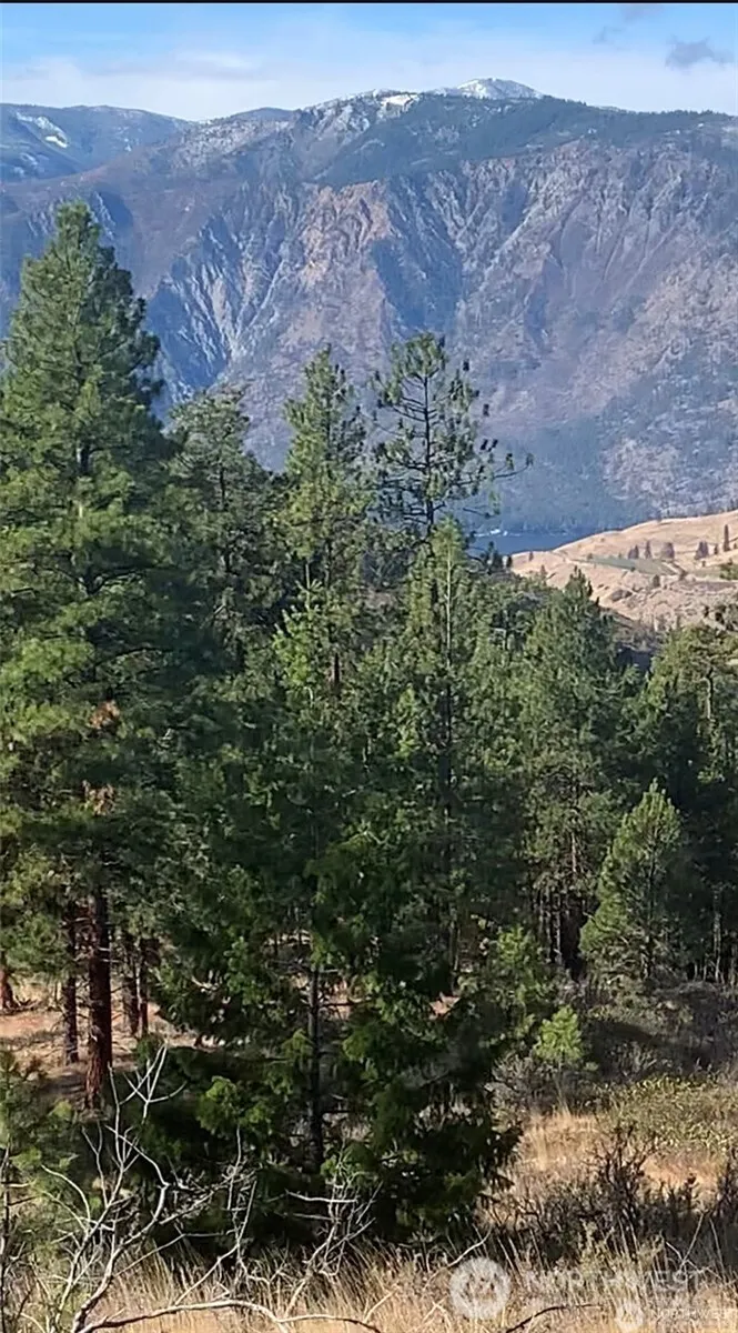 0 NNA Cooper Mountain Road Manson, WA 98831