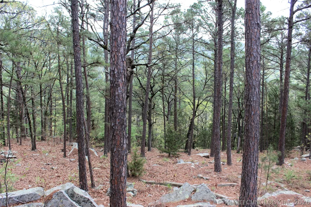 15 Autumn Trail Daisy, OK 74540