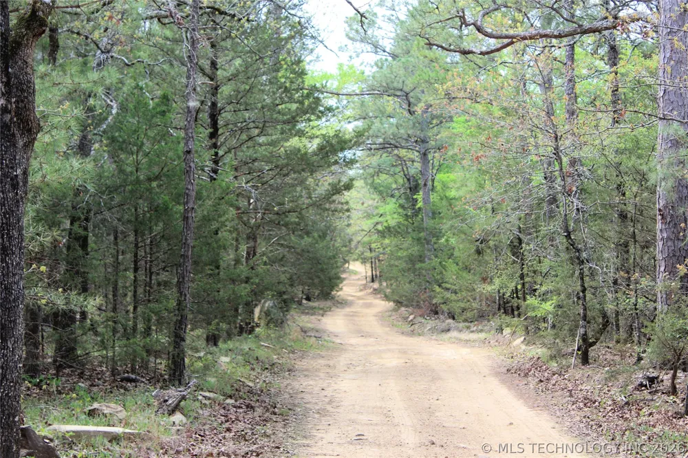 15 Autumn Trail Daisy, OK 74540