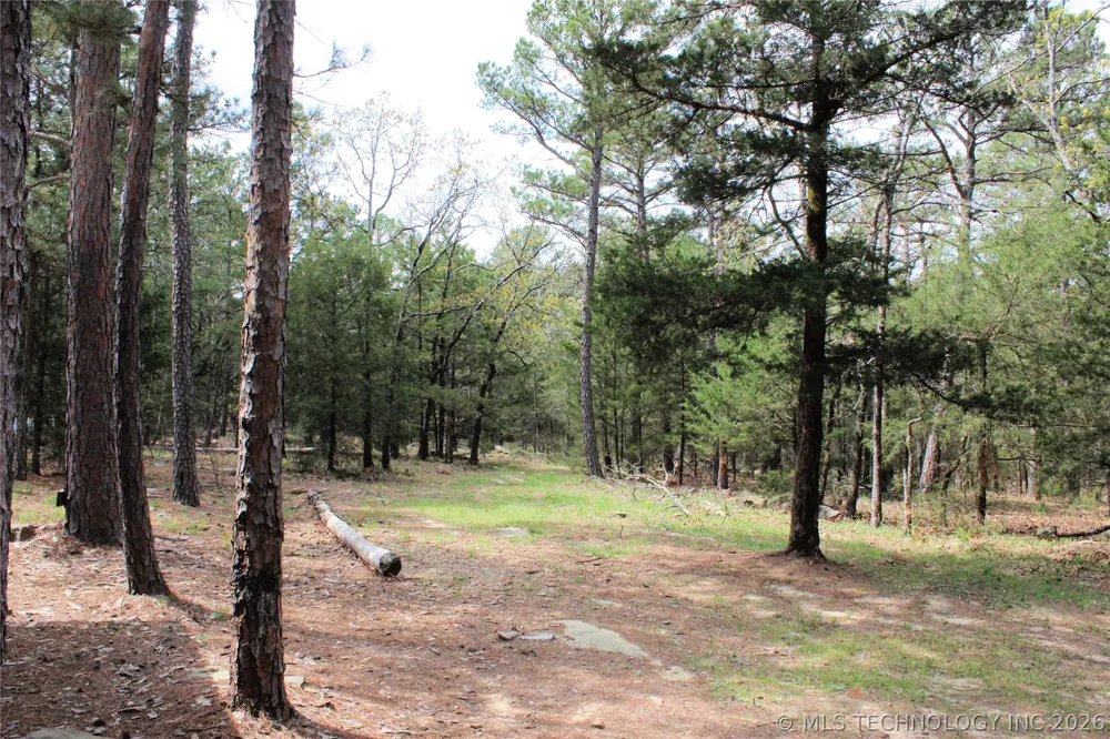 15 Autumn Trail Daisy, OK 74540