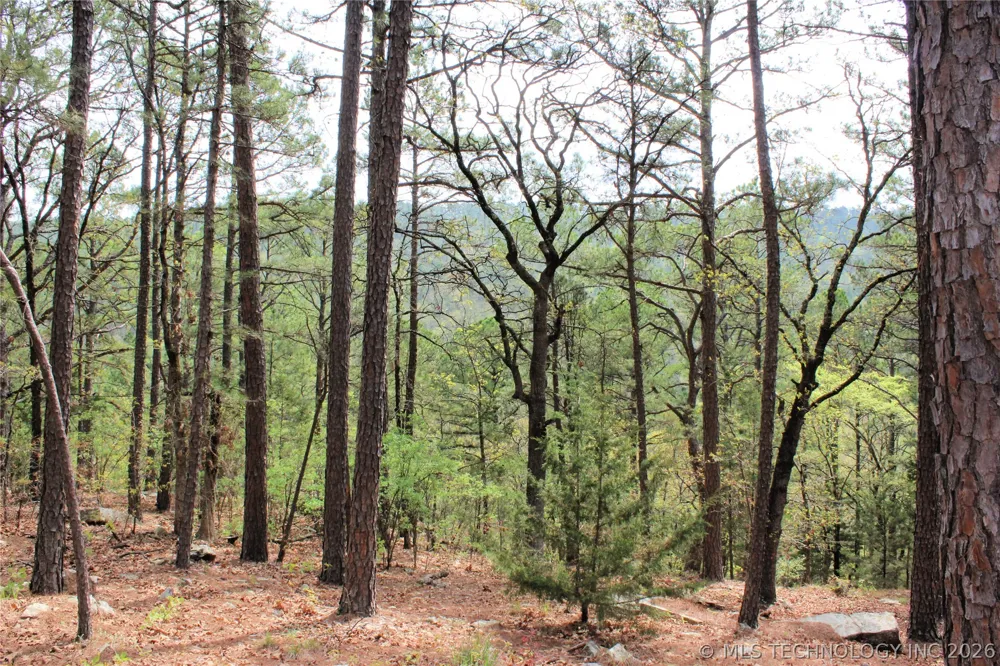 15 Autumn Trail Daisy, OK 74540