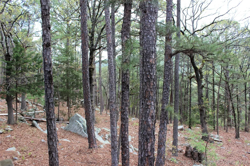 15 Autumn Trail Daisy, OK 74540