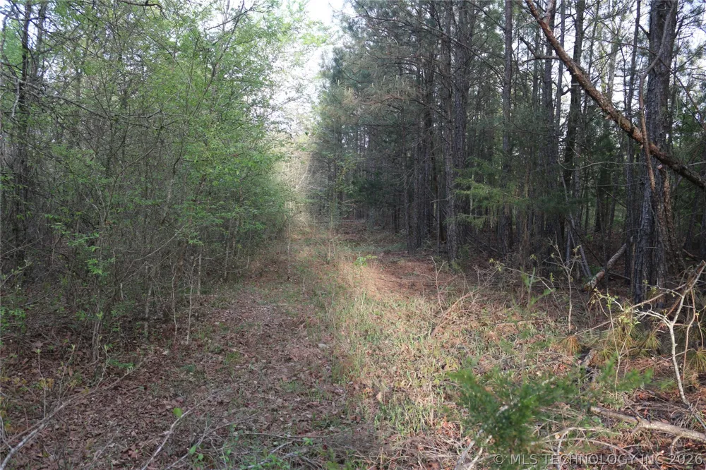 496 WYR 56746 ROAD Broken Bow, OK 74728