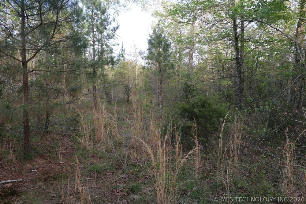 496 WYR 56746 ROAD Broken Bow, OK 74728