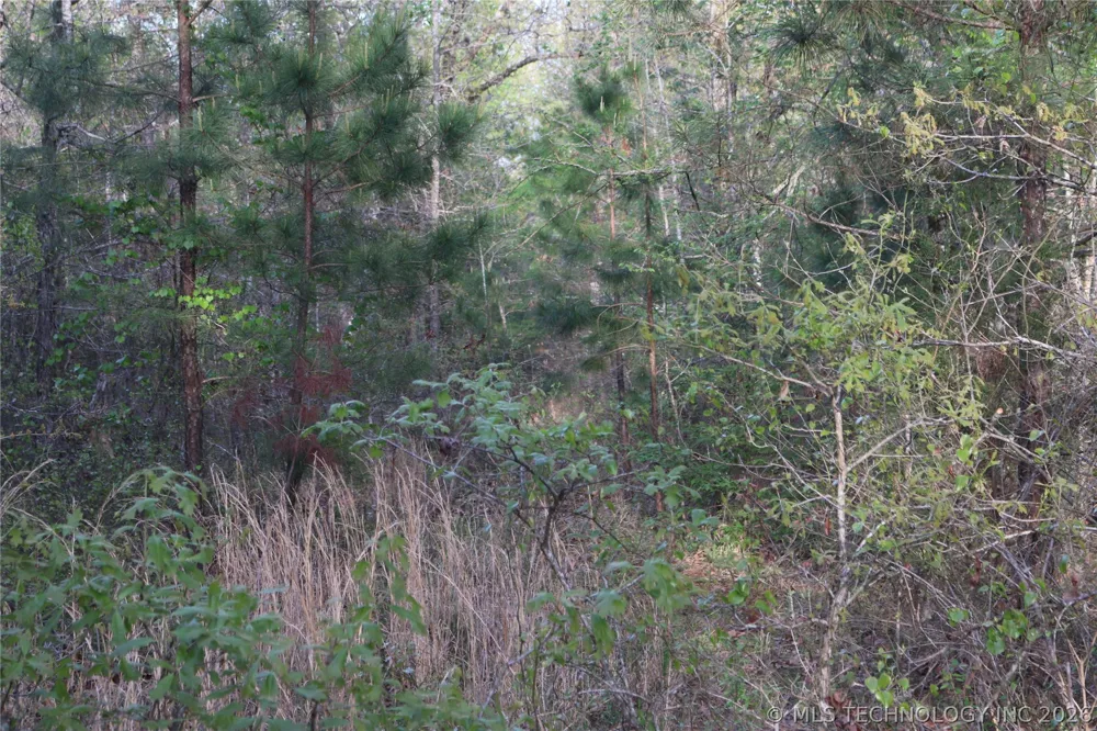 496 WYR 56746 ROAD Broken Bow, OK 74728