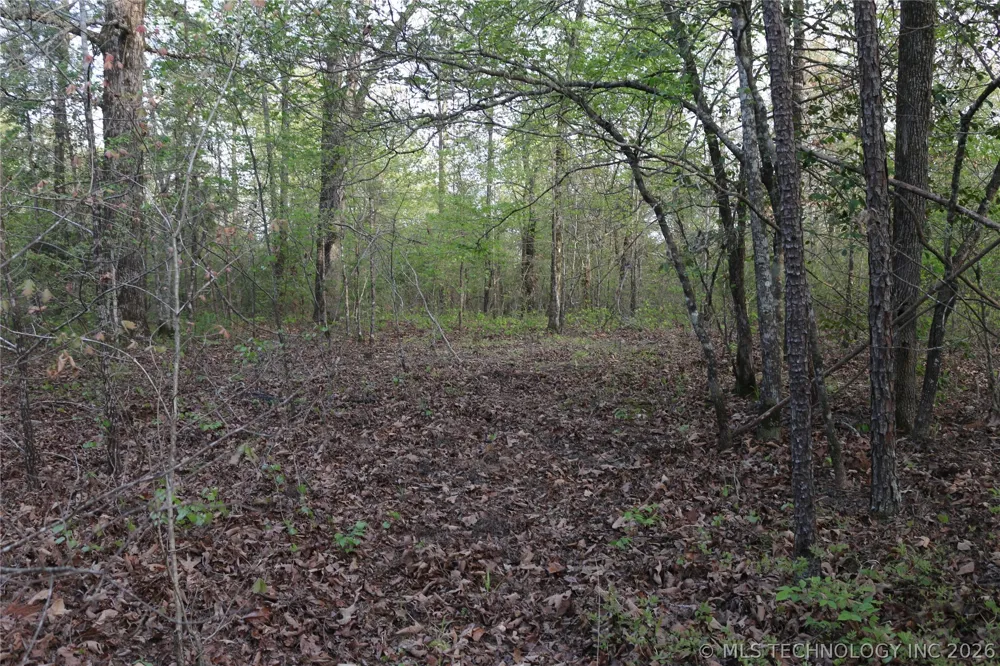 496 WYR 56746 ROAD Broken Bow, OK 74728