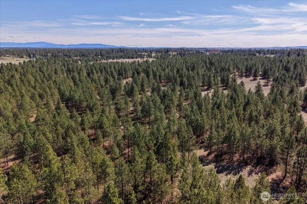 0 TBD Hayford Road Spokane, WA 99224