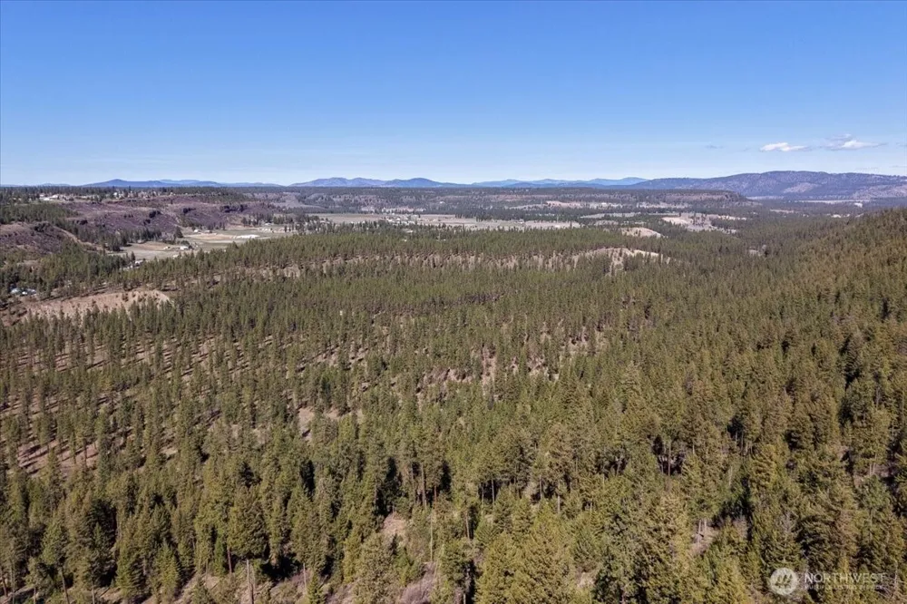 0 TBD Hayford Road Spokane, WA 99224