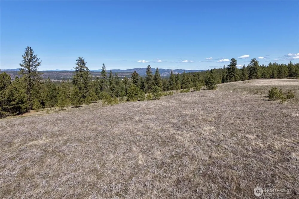 0 TBD Hayford Road Spokane, WA 99224