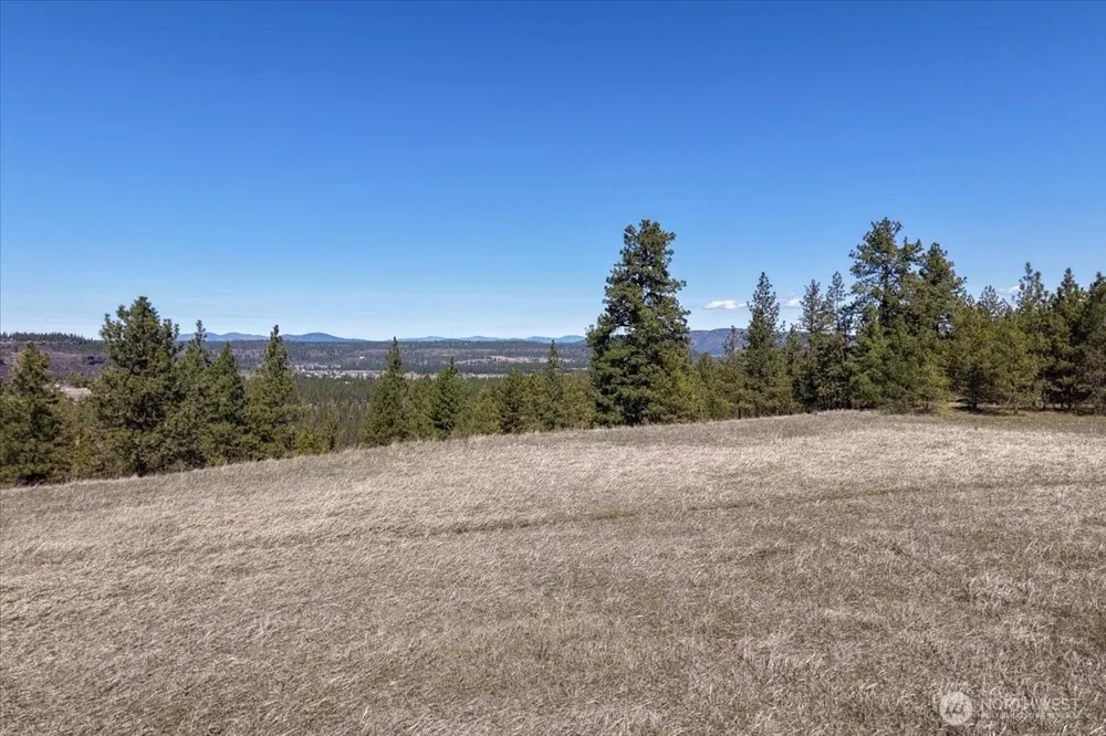 0 TBD Hayford Road Spokane, WA 99224