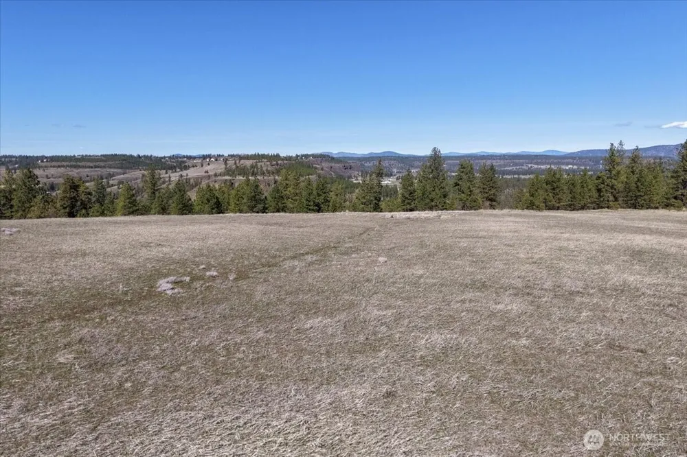 0 TBD Hayford Road Spokane, WA 99224