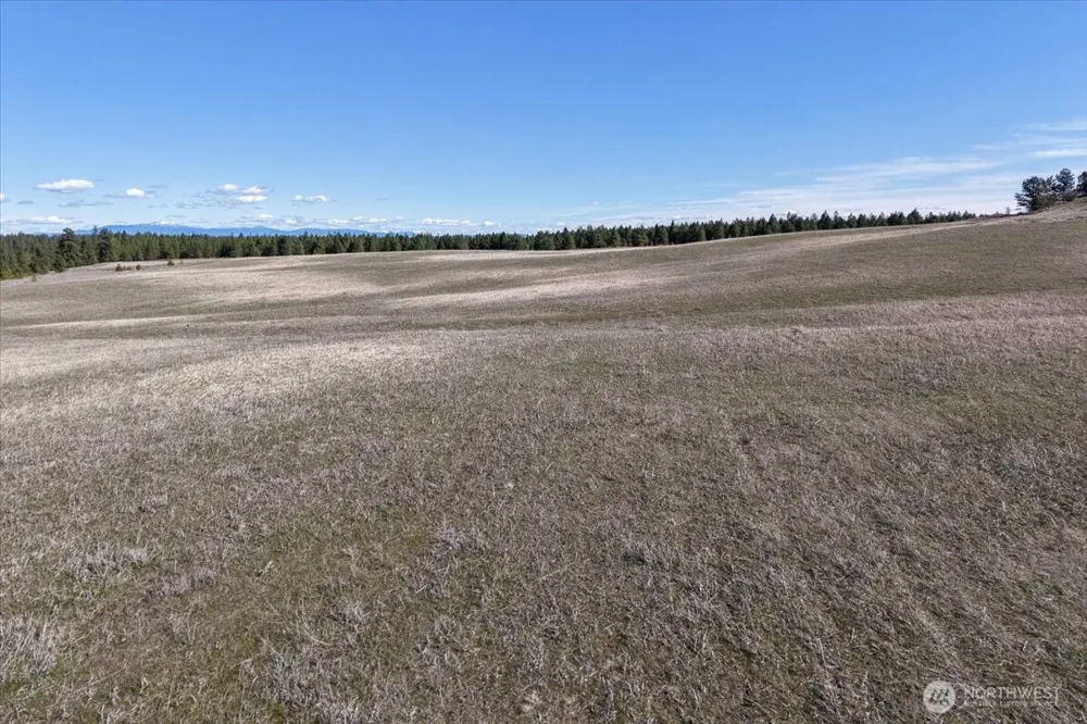 0 TBD Hayford Road Spokane, WA 99224