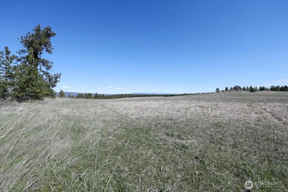 0 TBD Hayford Road Spokane, WA 99224