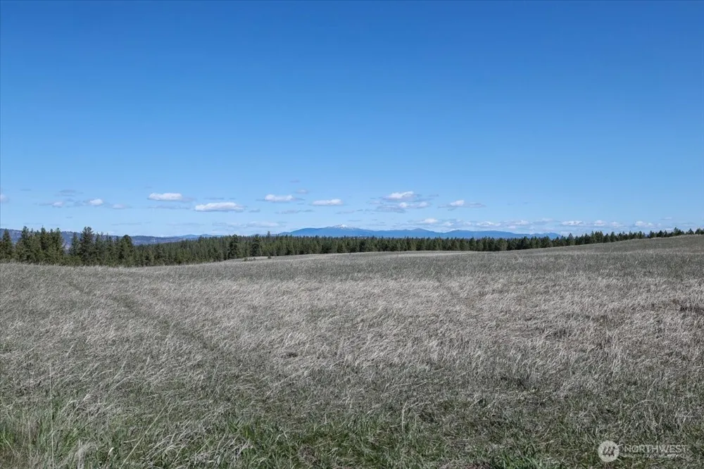 0 TBD Hayford Road Spokane, WA 99224