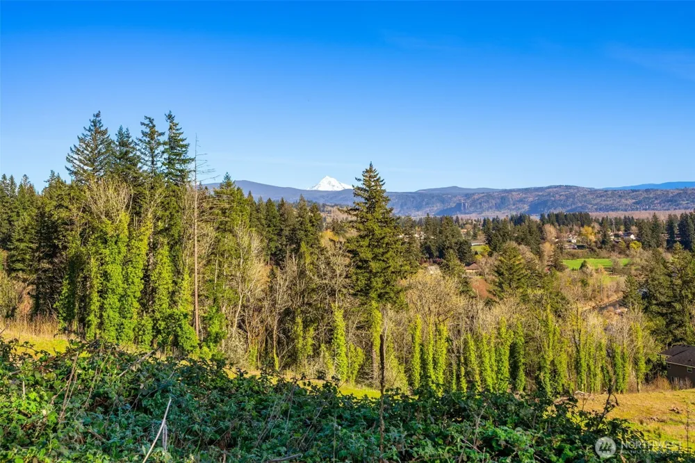 0 Green View Estates 2 Washougal, WA 98671