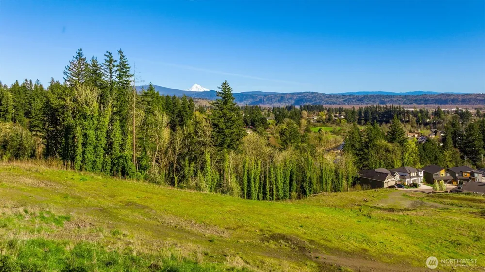 0 Green View Estates 2 Washougal, WA 98671