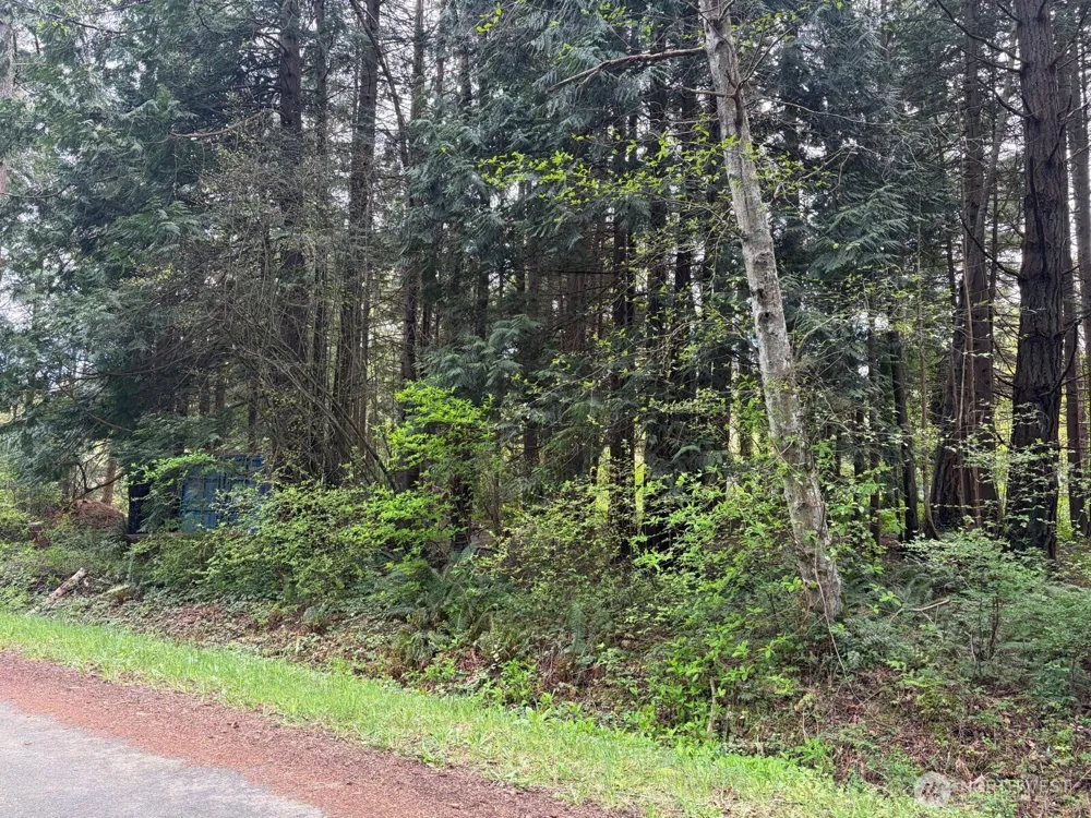 318 Madrona Place Point Roberts, WA 98281