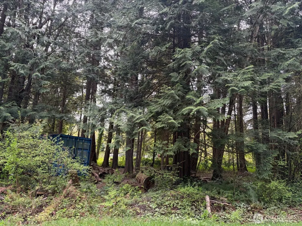 318 Madrona Place Point Roberts, WA 98281