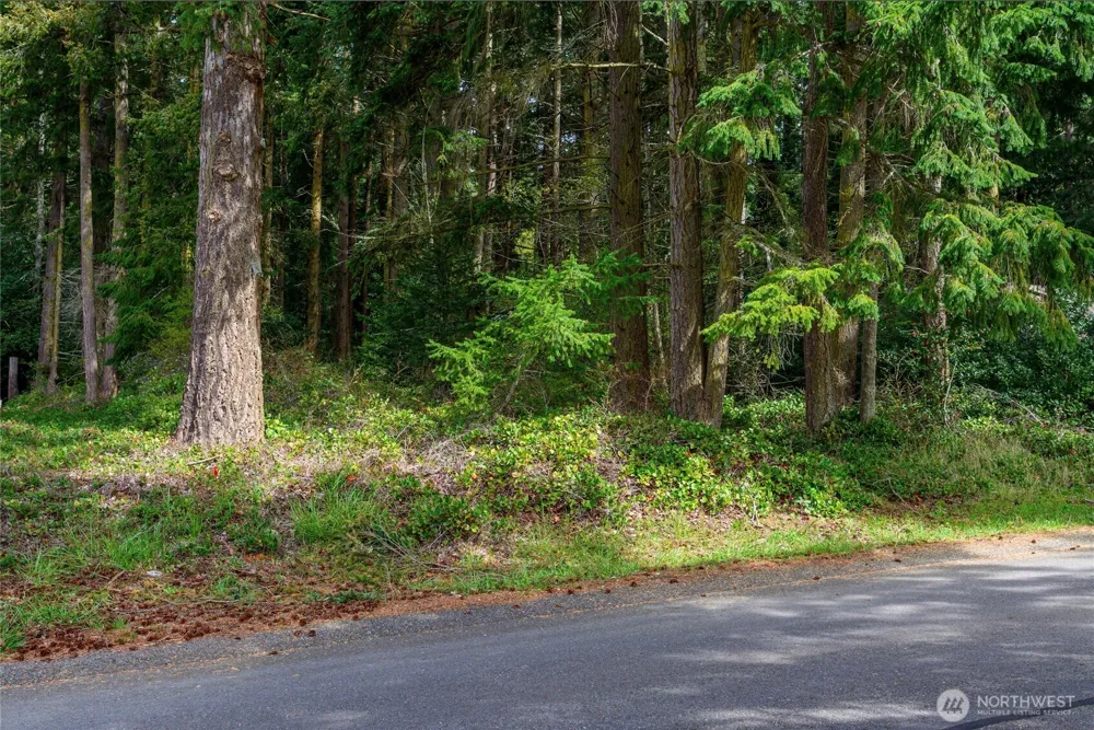 0 Lot 19 Sahalee Court Clinton, WA 98236