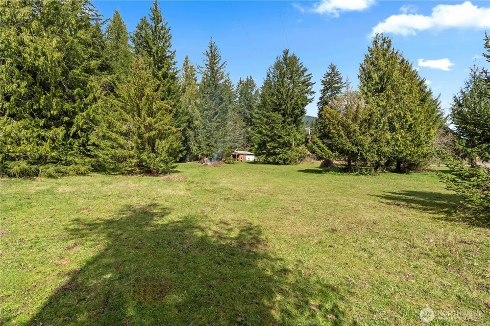 54715 278th Avenue E Ashford, WA 98304