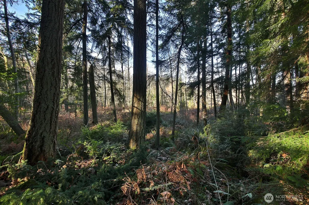 6880 Holst Road Clinton, WA 98236