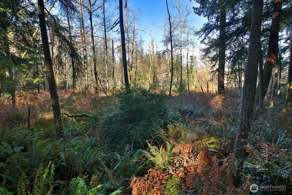 6880 Holst Road Clinton, WA 98236