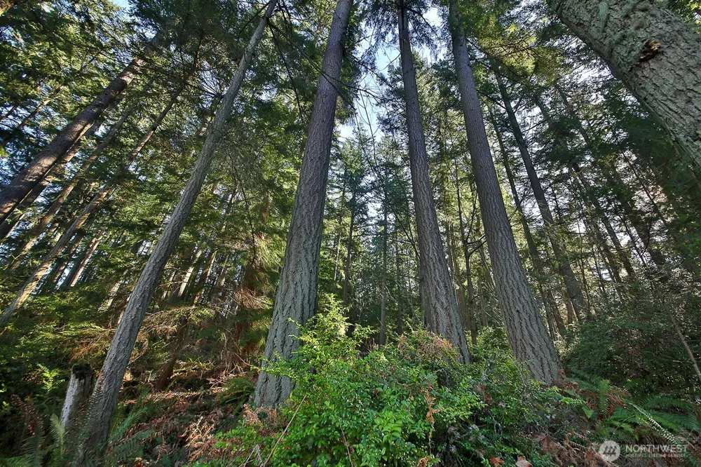 6880 Holst Road Clinton, WA 98236