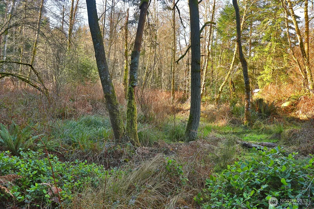 6880 Holst Road Clinton, WA 98236