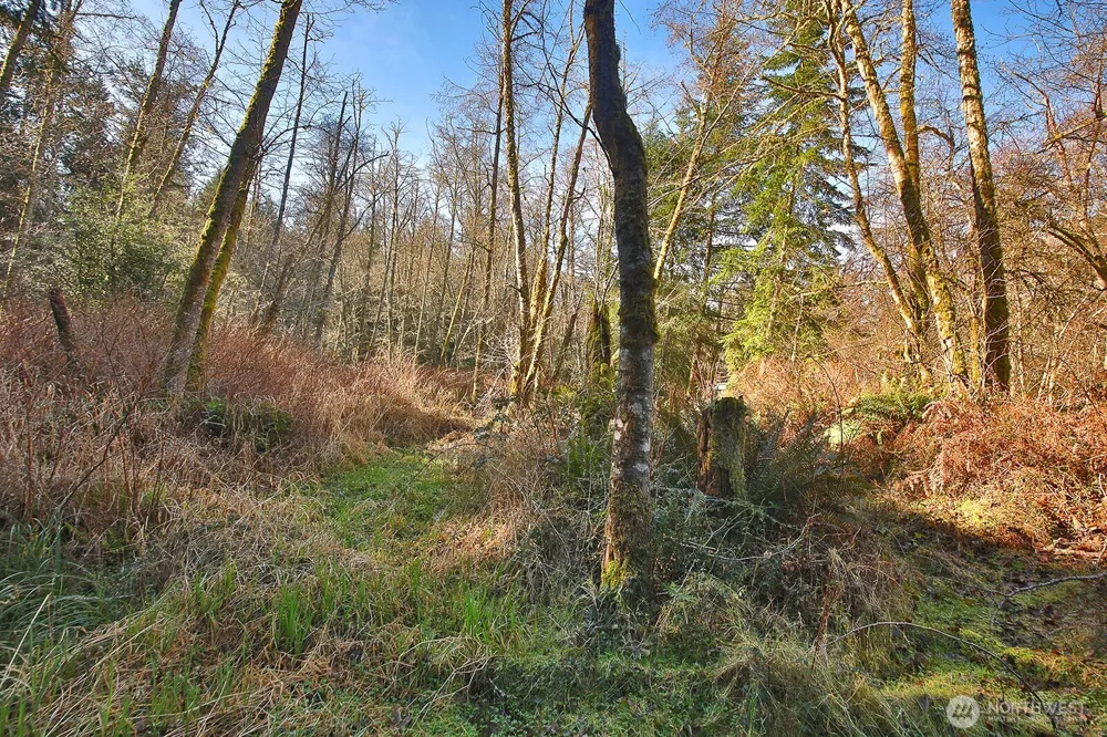 6880 Holst Road Clinton, WA 98236