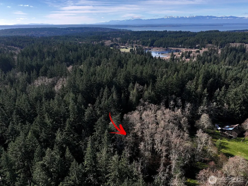 6880 Holst Road Clinton, WA 98236