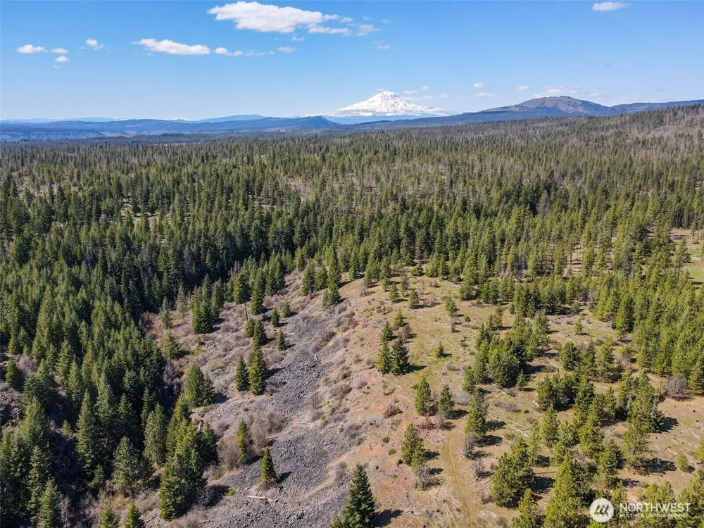 5 Sky Road Goldendale, WA 98620