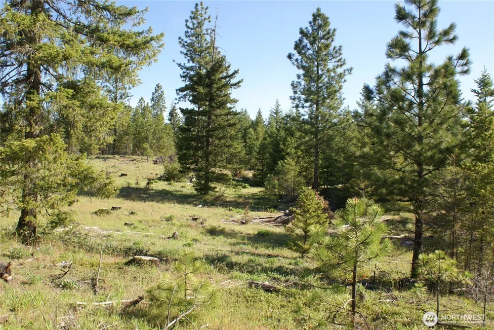 5 Sky Road Goldendale, WA 98620