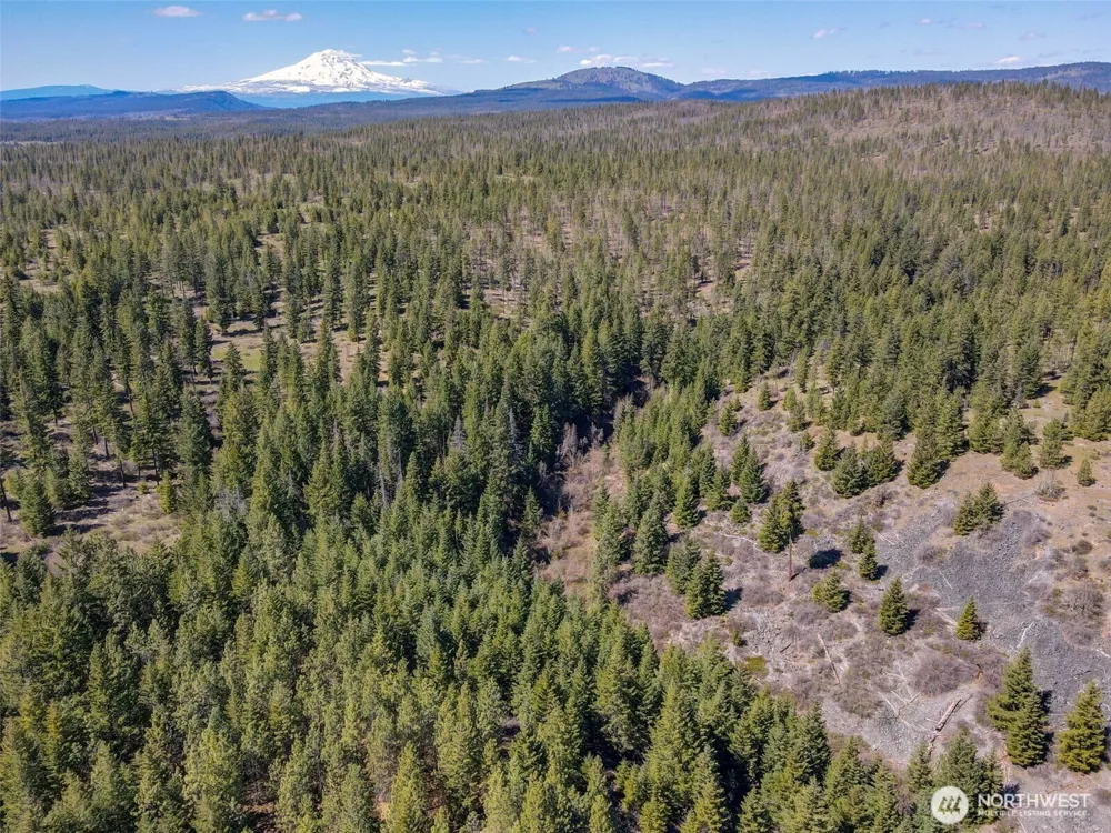 5 Sky Road Goldendale, WA 98620