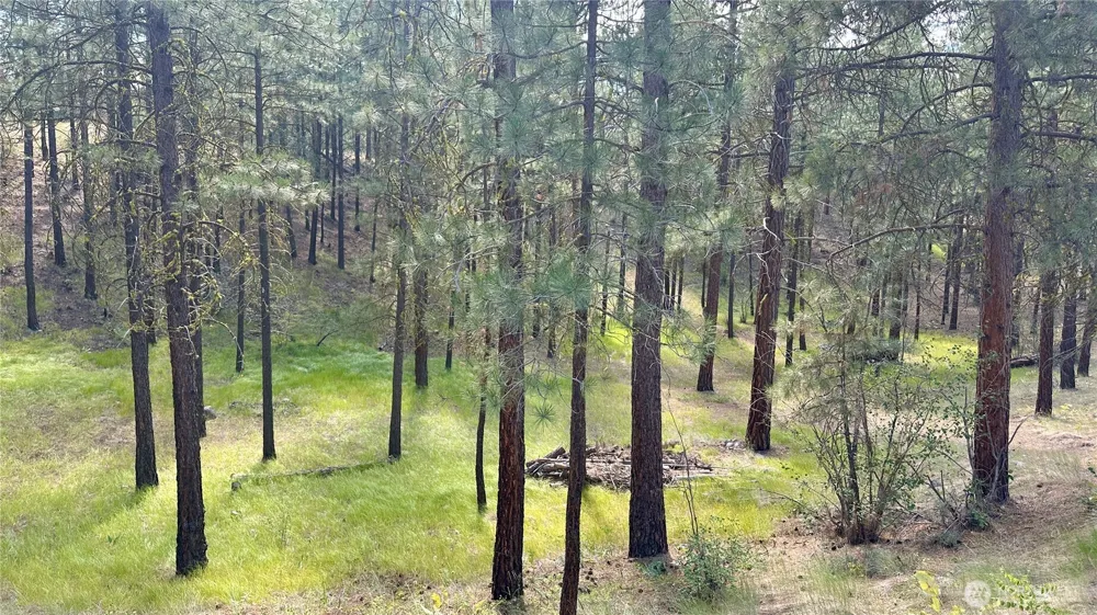 98 Larkspur Drive Winthrop, WA 98862