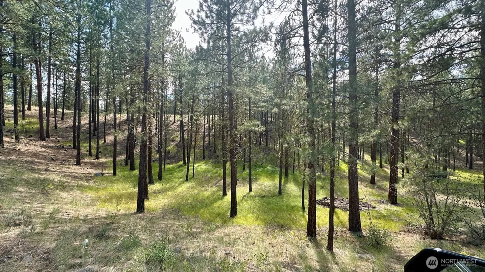 98 Larkspur Drive Winthrop, WA 98862