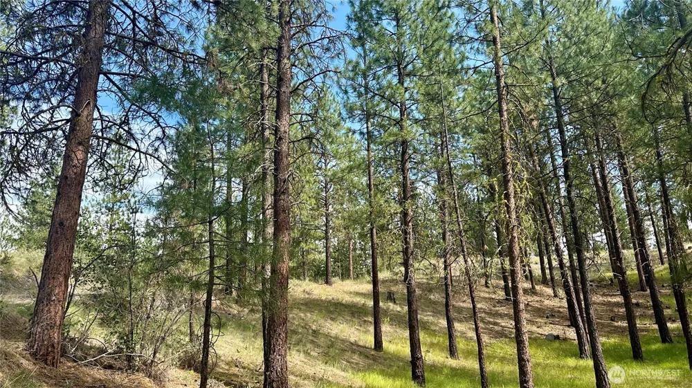 98 Larkspur Drive Winthrop, WA 98862
