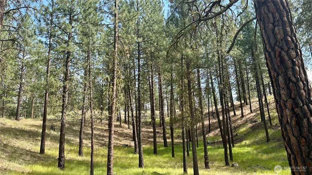 98 Larkspur Drive Winthrop, WA 98862