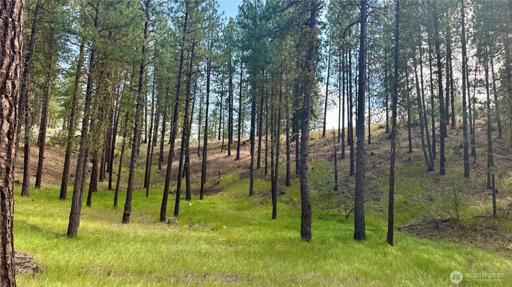 98 Larkspur Drive Winthrop, WA 98862