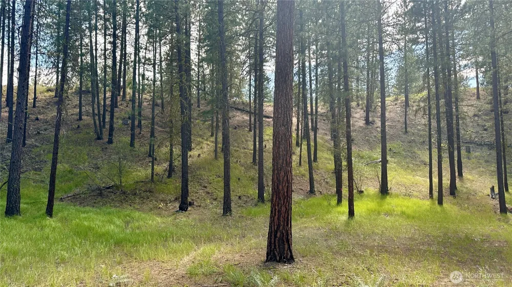 98 Larkspur Drive Winthrop, WA 98862